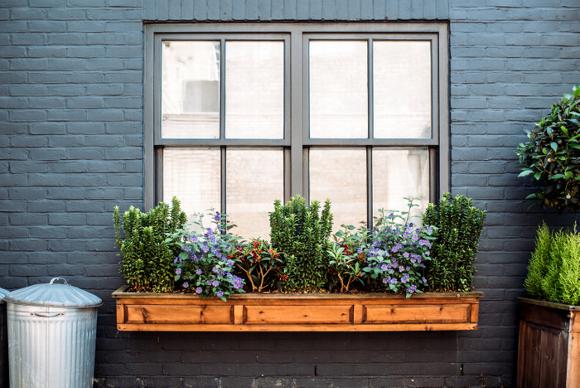 Sash widows with flower box