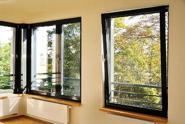 black turn and tilt windows in property